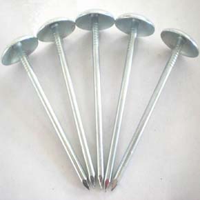 EG Umbrella Roofing Nails