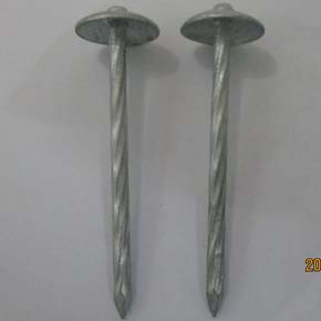 HDG Umbrella Roofing Nails
