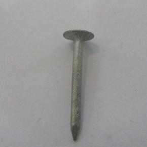 HDG Roofing Nails